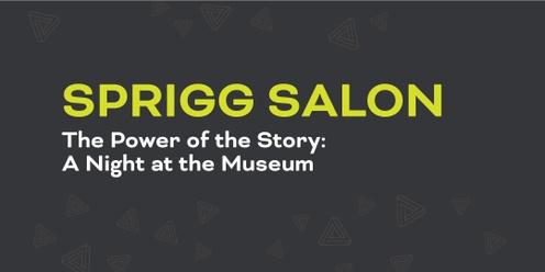 Sprigg Salon | The Power of the Story: A Night at the Museum