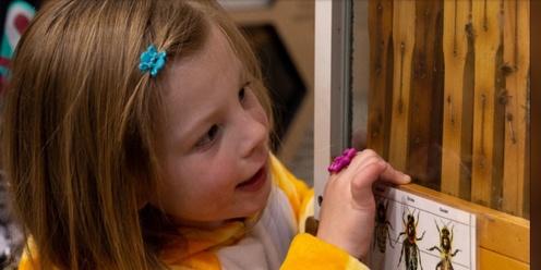 April School Holiday Workshop | Beehive Hangs at the Museum (Ages 4-7)